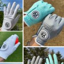 콜특수세탁 이미지