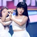 엑시 카카오 검색결과