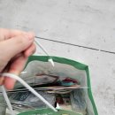 엑스포 | 수원 컨벤션센터 대한민국 축제 엑스포 후기 및 추천