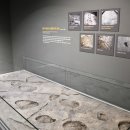 함안외암리공룡발자국 화석 이미지