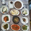 더덕나라