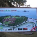 서천 마량리 동백나무 숲 이미지