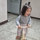 베베몽 | 내돈내산 삼천리 베베몽 밸런스 바이크 27개월 여자 아이 후기