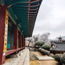 벼슬따기
