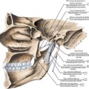 본큐어한의원 이미지