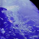 마루밀면 이미지