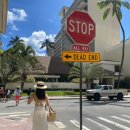 진오농장 | 2022 여름 하와이