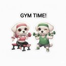 날쌘카페 | 🥗 신마산 샐러드 맛집 날쌘카페｜쿠팡잇츠 닭가슴살 샐러드 &amp; 들기름 메밀면 후기