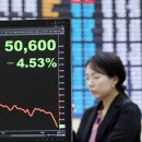 연일전자 이미지