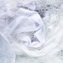 화성세탁 이미지