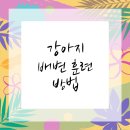 가정동물병원 이미지