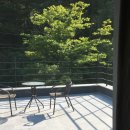 남이섬설1 이미지