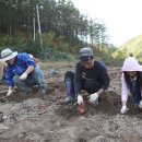 무주읍사무소 이미지