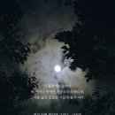 아이러빗