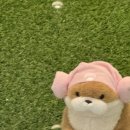 힐노래연습장 이미지