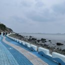 성일택시 이미지