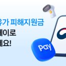 카카오페이