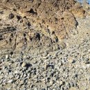 충성 세탁산업 이미지