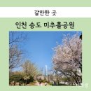 새싹어린이집 | 인천 송도벚꽃 개화 상태 미추홀공원 산책로 다녀온 후기