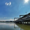 강변장어 이미지