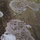 팔곡한의원 | 울산시 언양읍 - 최남복의 백련구곡(白蓮九曲)