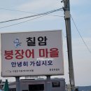 칠암거북 이미지