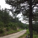 옥산리농로 이미지