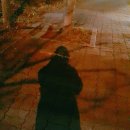 원일쌀상회 | 모아쓰는 사진일기