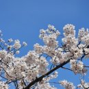 란향 - 의왕시 부곡중앙북2길 12 | 란향