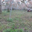 고향부동산중개사무소 이미지