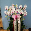 시민로 77번길 이미지