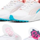 파크골프 입문 이미지