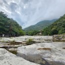 무릉세탁 이미지