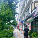 일신당약국 네이버블로그