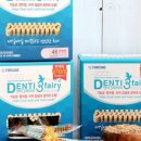 제이덴탈 이미지