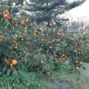 청우농장 이미지