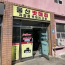 울산 남구 자동차 밧데리 교체후기 _울산밧데리할인점
