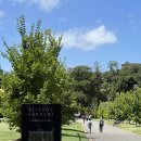 피츠로이가든 이미지