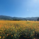 구례군청소년수련원 이미지