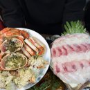 더 퍼피즈 블루 오션 쿡 이미지