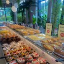 명성통상 | 260308 일기 / 불암산 민물매운탕 송어회, 남양주 카페 닉센, 롯데백화점 골든듀, 롯데잠실하이마트