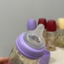 위드캣 | 100일 아기 젖병 용량 고민 : 모윰 젖병 270ml 내돈내산 후기 (위드캣 퍼플, 모어러브 체리, 라마 에디션)
