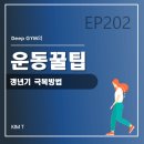 디피짐 이미지