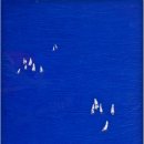 바다소나무 이미지