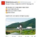 한국맥도날드진주 이미지