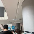 2026 맘스홀릭 베이비페어마곡 6월12일 오픈런 선착순 선물 초산맘 쇼핑 꿀팁 후기