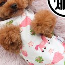 구미TOP동물의료센터 이미지