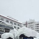 산향기의 속리여행 | 끝없는 설벽과 고요한 온천의 만남 에치고유자와 류곤 료칸 눈 여행 후기