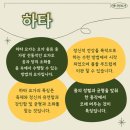 (주)바디프랜드 부천역곡 | [온수역요가,소사역요가] 애니원요가 역곡점 하타, 아쉬탕가 베이직 수업 듣고 왔어요!