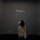효선상사 | 키크니 특별전 후기 | 웃으러 갔다가 눈물 흘리고 온 전시